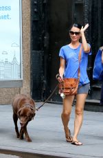 LUCY LIU Walks Her Dog Out in New York 08/14/2016