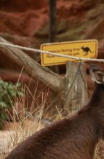 SABRINA CARPENTER at Wildlife park in Sydney 08/14/2016