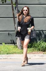 SARAH MICHELLE GELLAR Out and About in Beverly Hills 08/19/2016