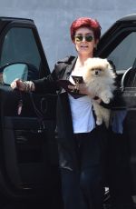 SHARON OSBOURNE Out with Her Dog in Beverly Hills 08/08/2016