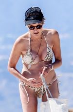 SHARON STONE in Bikini at a Beach in Venice 08/12/2016