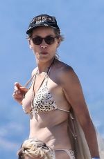 SHARON STONE in Bikini at a Beach in Venice 08/12/2016