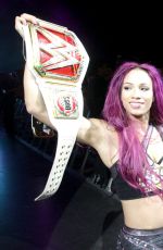 WWE - Live in Auckland, New Zealand 08/10/2016