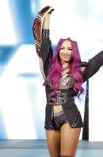 WWE - Live in Auckland, New Zealand 08/10/2016