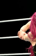 WWE - Live in Auckland, New Zealand 08/10/2016