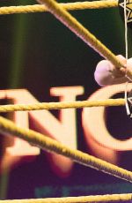 WWE - NXT Digitals 08/17/2016