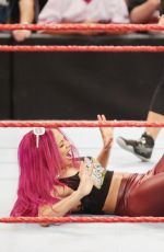 WWE - Raw Digitals 08/15/2016