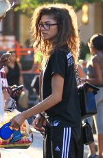 ZENDAYA COLEMAN Out Shopping at Grove in Los Angeles 08/12/2016
