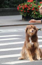 AMANDA SEYFRIED Walks Her Dog Out in New York 09/05/2016