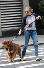 AMANDA SEYFRIED Walks Her Dog Out in New York 09/05/2016
