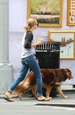 AMANDA SEYFRIED Walks Her Dog Out in New York 09/05/2016