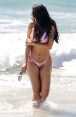 ANALICIA CHAVES in Bikini at a Beash in Los Angeles 09/12/2016