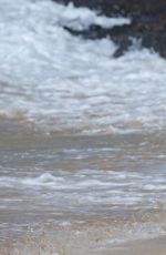 CHARLOTTE MCKINNEY in Bikini on the Beach in Hawaii 09/07/2016