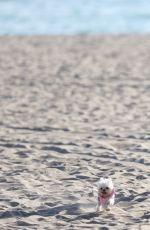 COURTNEY STODDEN Kissing a Mystery Woman on the Beach in Los Angeles 09/15/2016