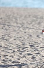 COURTNEY STODDEN Kissing a Mystery Woman on the Beach in Los Angeles 09/15/2016