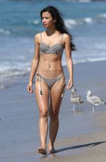 DANAY GARCIA in Bikini at a Beach in Santa Monica 09/15/2016