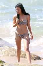 DANAY GARCIA in Bikini at a Beach in Santa Monica 09/15/2016