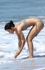 DANAY GARCIA in Bikini at a Beach in Santa Monica 09/15/2016