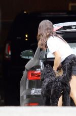 DANIELLE CAMPBELL Out and About in Hollywood 09/22/2016