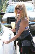 GOLDE HAWN Out in Pacific Palisades 09/14/2016