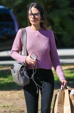 JORDANA BREWSTER Out Shopping in Brentwood 09/14/2016