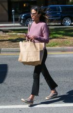 JORDANA BREWSTER Out Shopping in Brentwood 09/14/2016