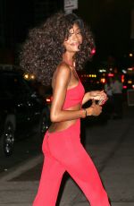 JOURDAN DUNN at Beyonce
