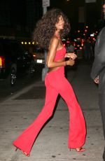 JOURDAN DUNN at Beyonce