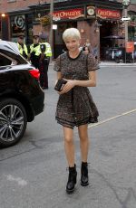 MICHELLE WILLIAMS Out and About in Toronto 09/13/2016