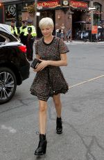 MICHELLE WILLIAMS Out and About in Toronto 09/13/2016