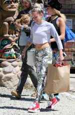 MILEY CYRUS Out Shopping in Los Angeles 09/09/2016