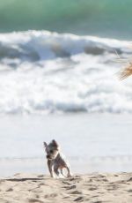 SAMANTHA HOOPES in Bikini on the Beach in Malibu 09/04/2016