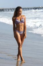SARAH JANE CRAWFORD in Bikini at a Beach in Santa Monica 09/16/2016