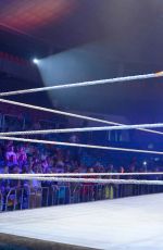 WWE - Live Event in Leon
