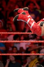 WWE - Raw Digitals 08/29/2016