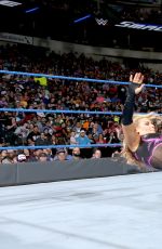 WWE - Smackdown Live! Digitals 08/30/2016