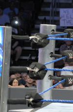 WWE - Smackdown Live! Digitals 09/13/2016