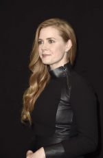 AMY ADAMS at 
