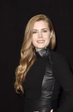 AMY ADAMS at 