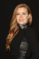 AMY ADAMS at 