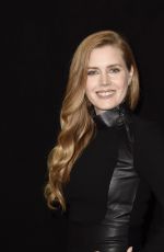 AMY ADAMS at 