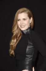 AMY ADAMS at 