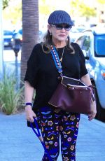 CARRIE FISHER Walks Her Dog Out in Los Angeles 09/29/2016