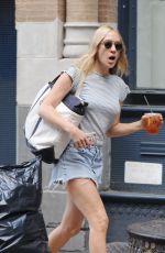 CHLOE SEVIGNY Out and About in New York 10/19/2016