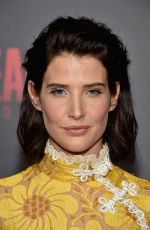 COBIE SMILDERS at 