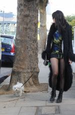 DAISY LOWE Walks Her Dog Out in London 10/18/2016