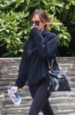 DAKOTA JOHNSON Out in New York 10/13/2016