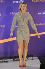 DEMI LOVATO at Wella Koleston Press cConference in Mexico City 10/17/2016