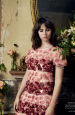 FELICITY JONES in Harper