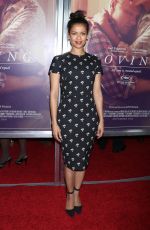 GUGU MBATHA RAW at ‘Loving’ Premiere in New York 10/26/2016